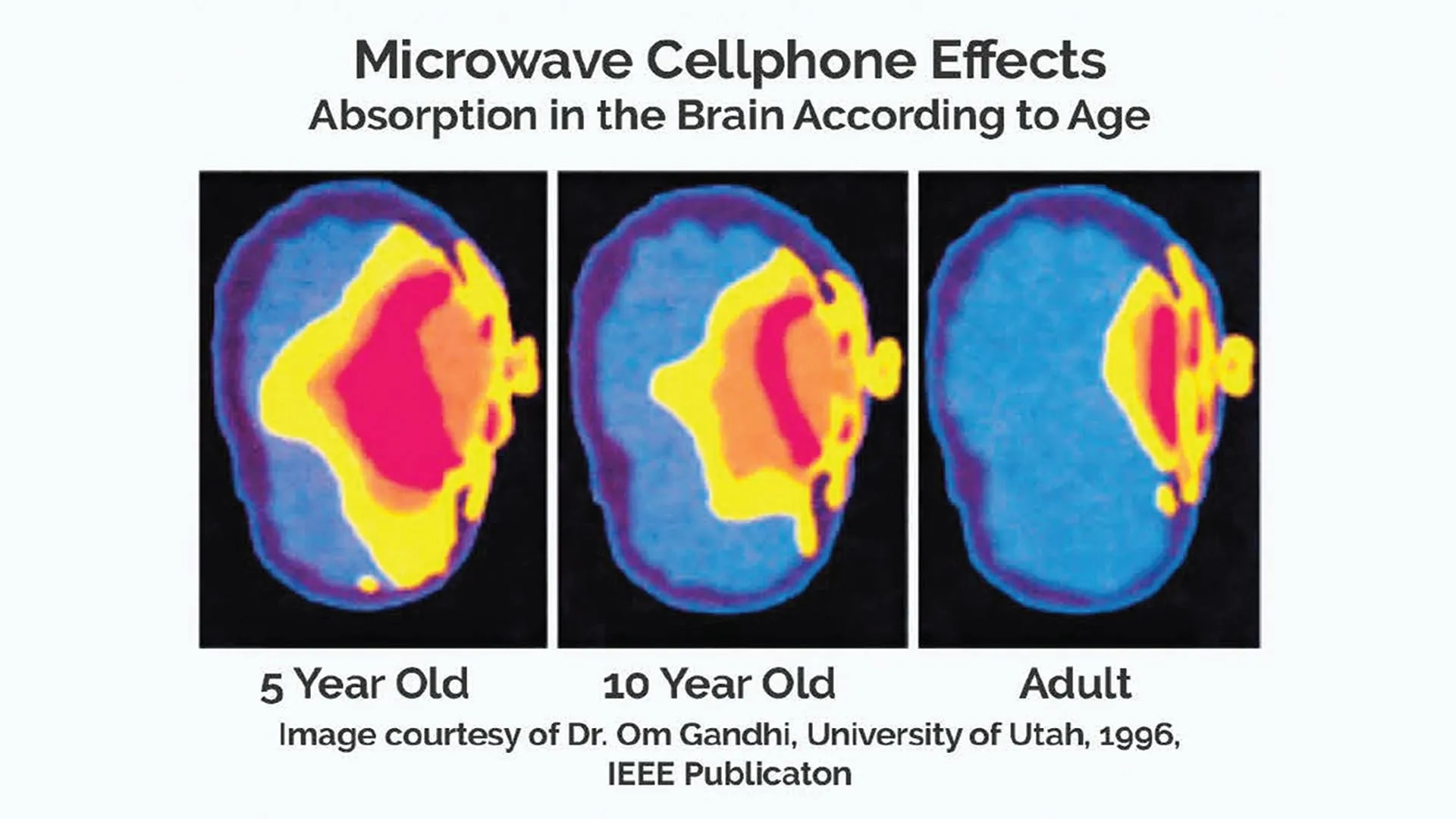 Microwave Cellphone Effect