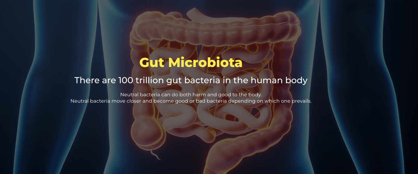 gut microbiota
